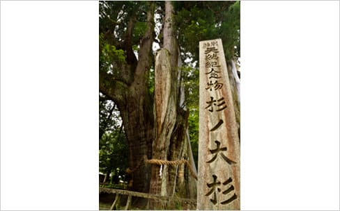 美空ひばりも祈願！八坂神社境内にある開運スポット