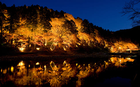 渓谷を燃えるように彩る紅葉の名所、ライトアップも魅力