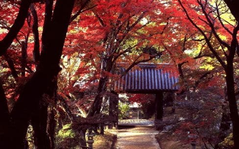 “筑前の小京都”と呼ばれる端正な町並み