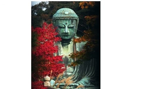 鎌倉に行ったら必ず訪れたい鎌倉名物