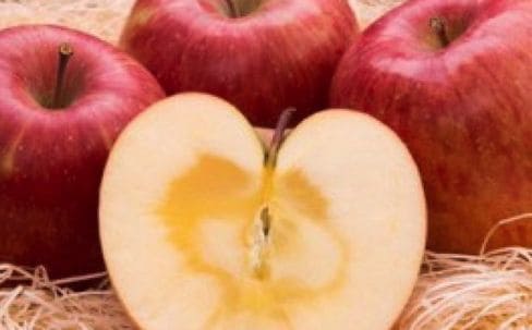 りんごの王様・ふじの中でも最高級の「ルビーアップル」