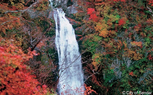 日本三名瀑の一つ 幅6ｍ、落差55ｍ落ち込む豪壮雄大な大滝