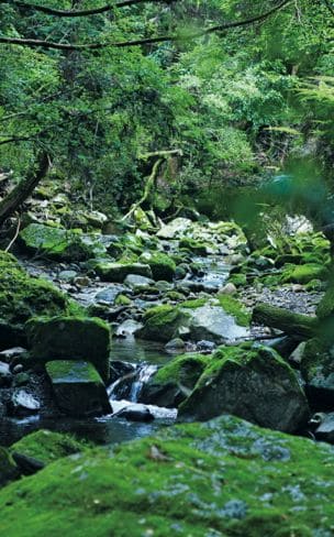 水と緑が織りなす絶景の宝庫
