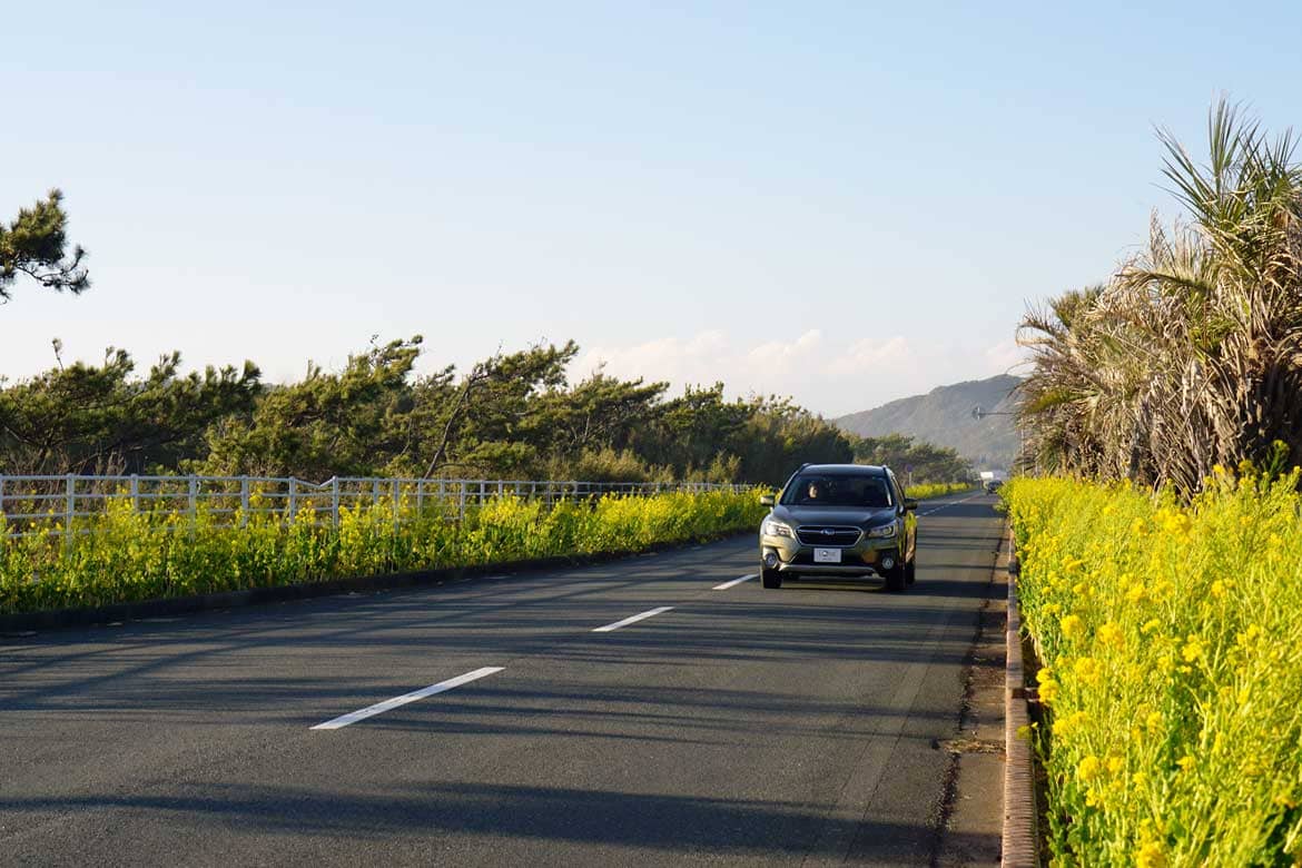 花に囲まれた1本道を駆け抜ける