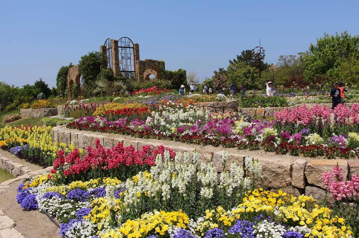 とにかく広い! 季節の花々に癒される「国営海の中道海浜公園」