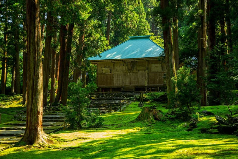 司馬遼太郎も絶賛した、苔が美しい「白山平泉寺」