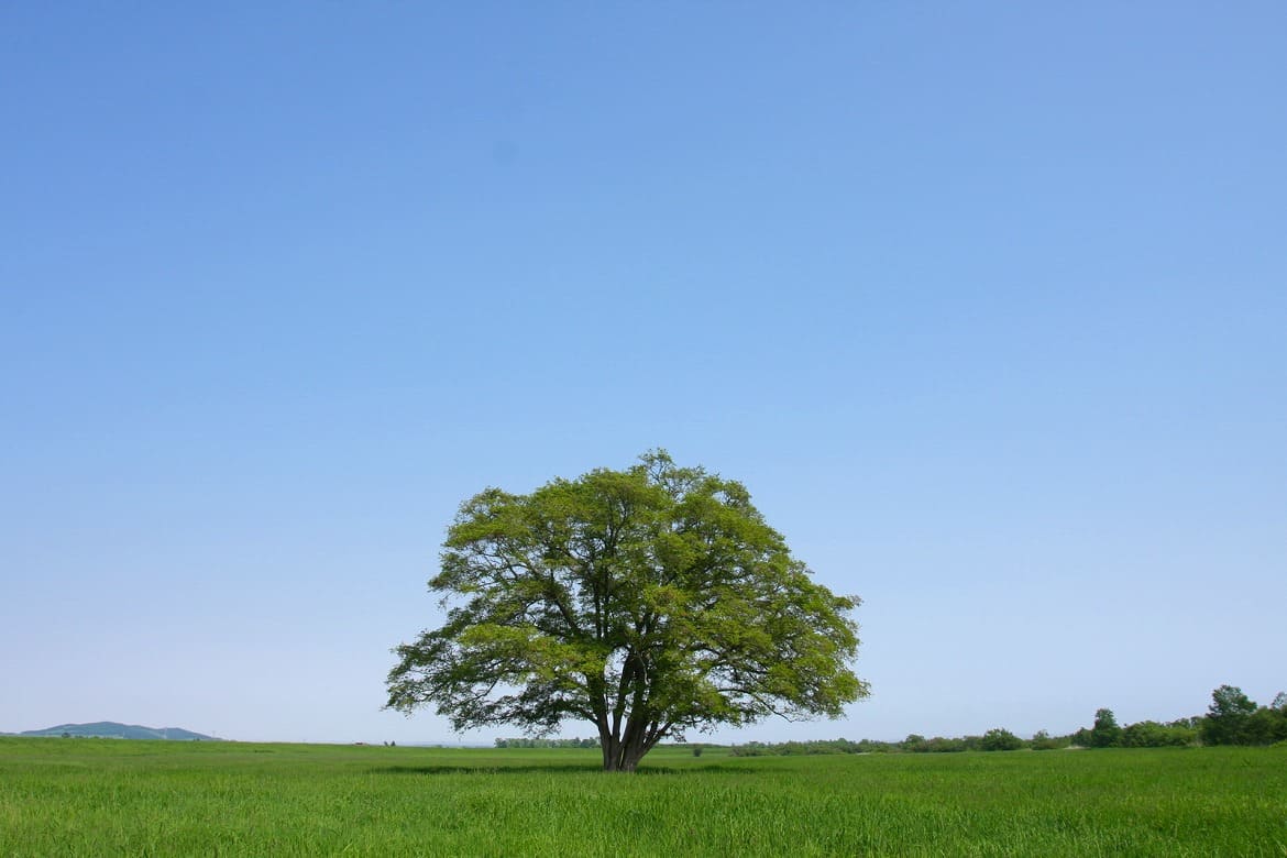 心に響く、北海道の絶景！