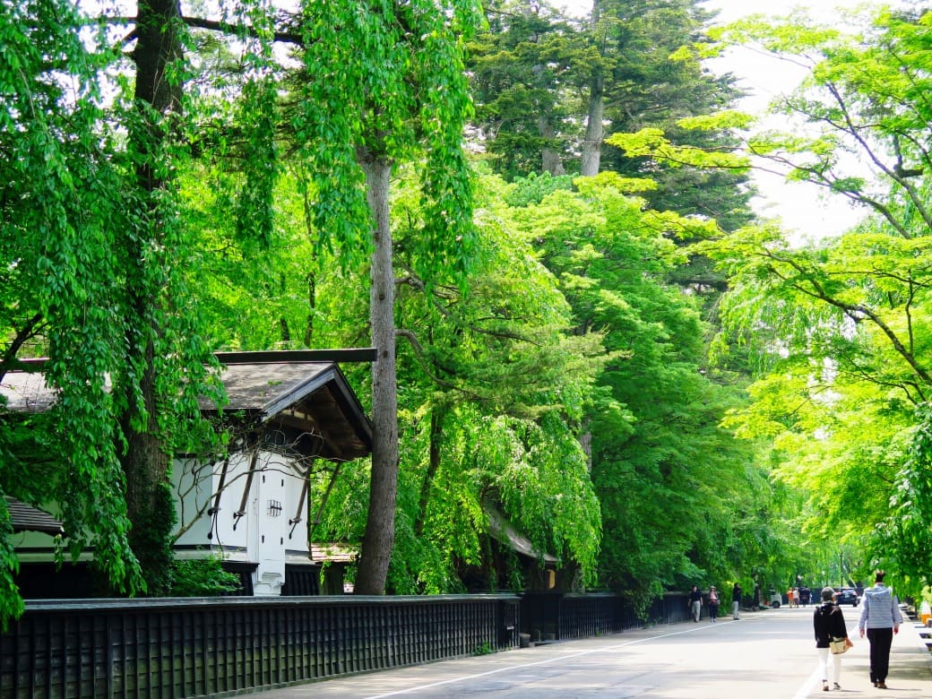 3000坪の敷地で文化を体感！「角館歴史村・青柳家」