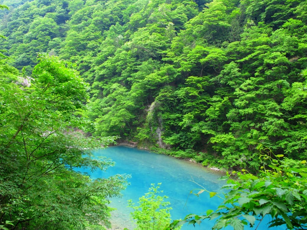 青い渓流と滝が涼やか！「抱返り渓谷」