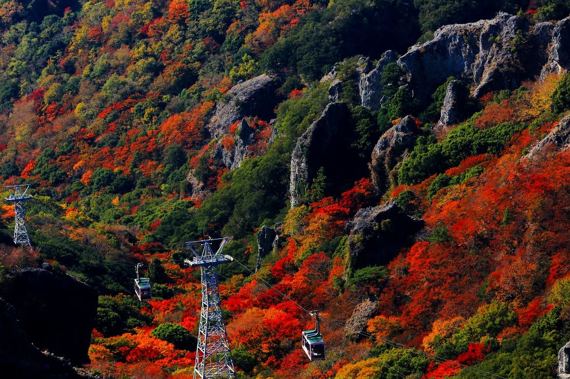 日本三大渓谷美にうっとり「寒霞渓」
