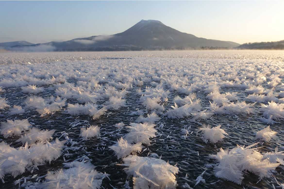 12月～3月の間だけ! 阿寒湖・冬に咲く華「フロストフラワー」が開花