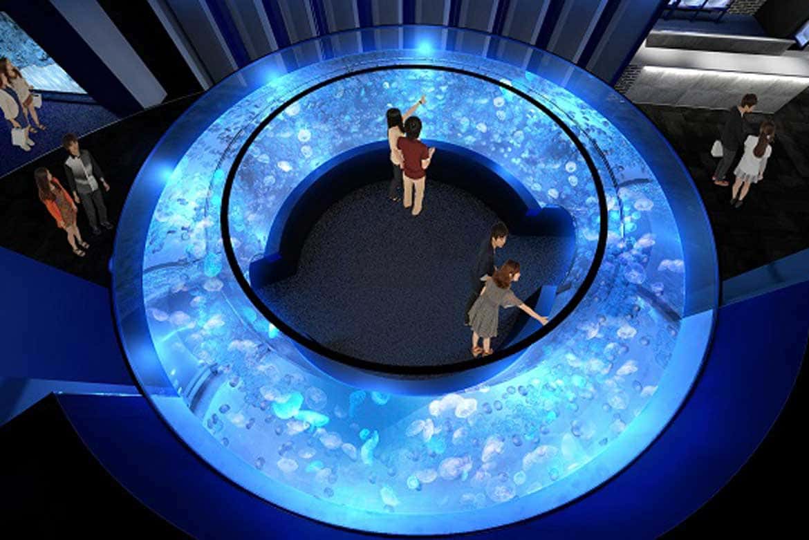 京都水族館、西日本最多のクラゲ新展示エリア「クラゲワンダー」を4/29(祝・水)に公開決定