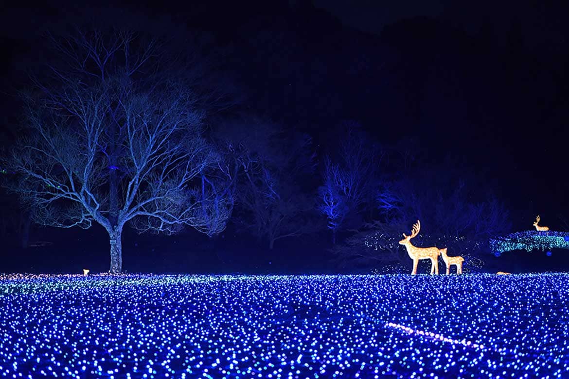 奈良公園一帯にて、あかりと光の演出「第11回しあわせ回廊なら瑠璃絵」2/8〜14開催