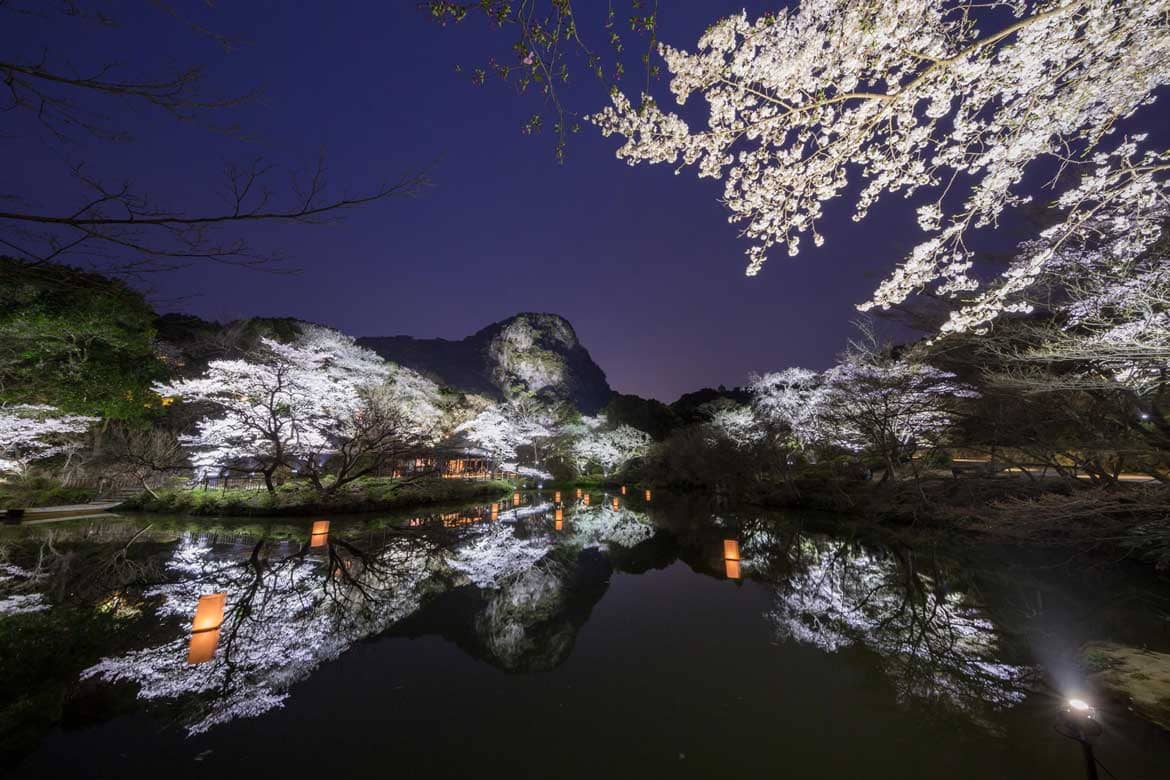 佐賀県武雄市、一度は行きたい桜の名所。水面に映る九州最大級のライトアップは必見!