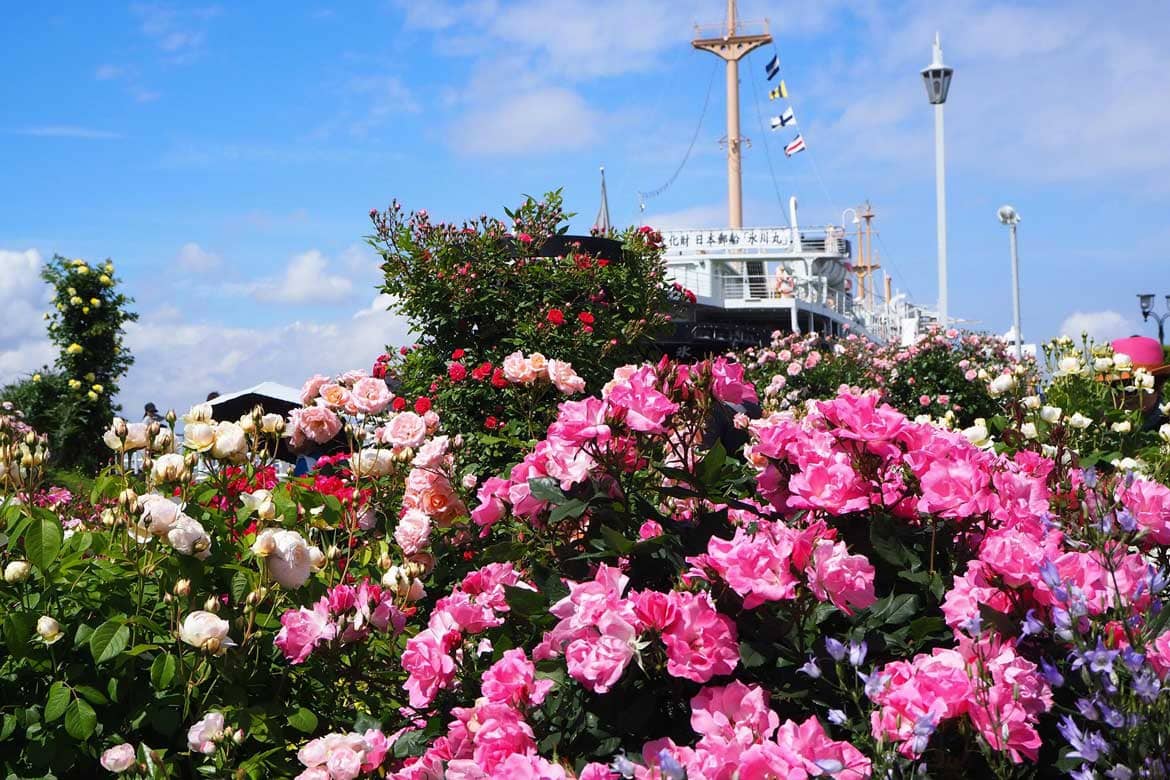 歴史と文化あふれる横浜に60万本の花々が咲き誇る「ガーデンネックレス横浜2020」開催!