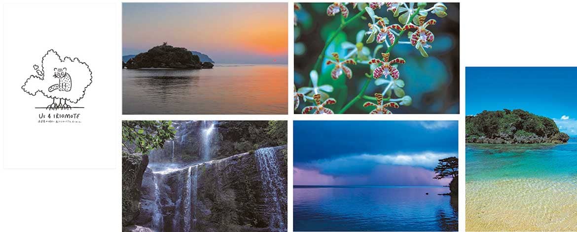 世界自然遺産候補地・西表島の稀有な自然と文化を守り・残すために、クラウドファンディングをスタート