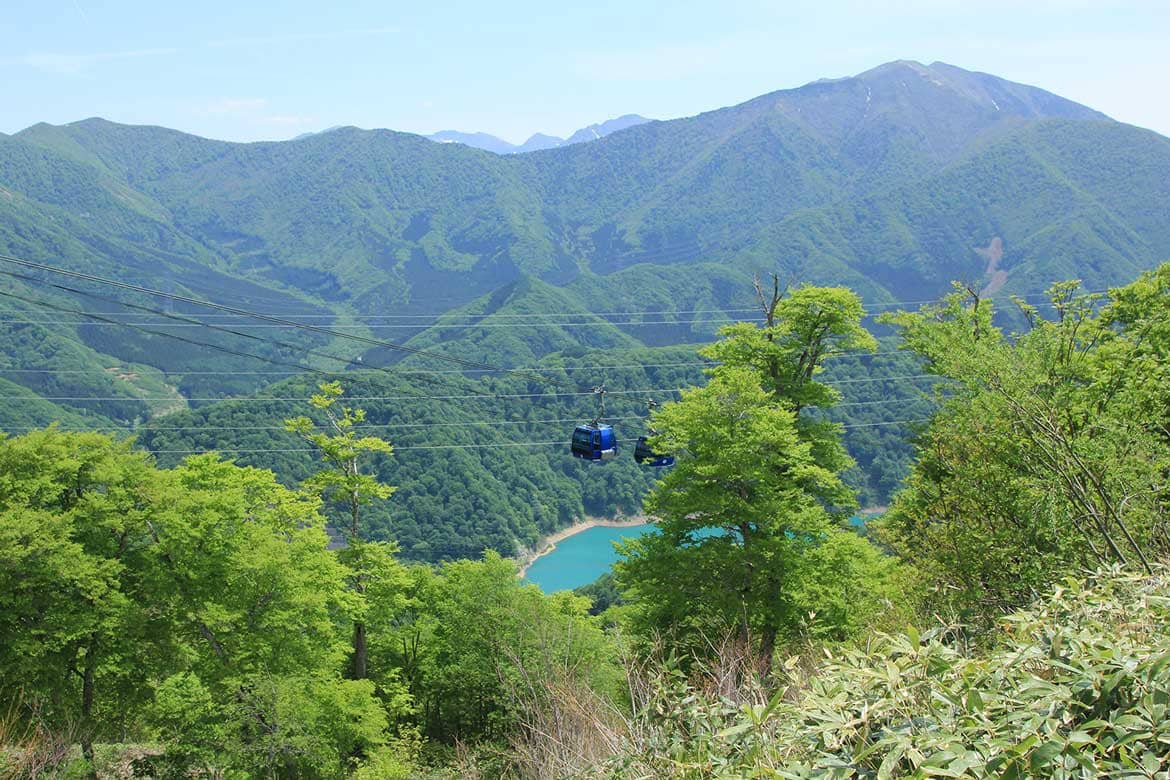 苗場スキー場、日本一の長さを誇る「苗場ドラゴンドラ」で、緑の森林浴！