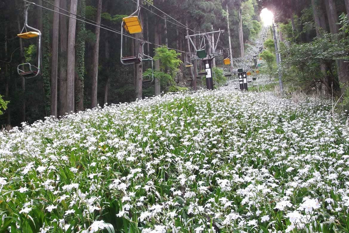 琵琶湖や余呉湖の絶景を満喫！「賤ケ岳リフト」5/23 (火) オープン決定