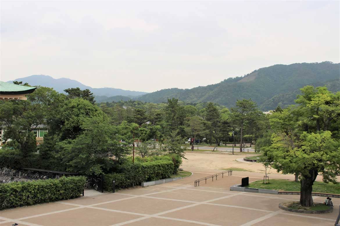 歴史を感じながら歩いてみたい岡崎公園【岡崎エリア】