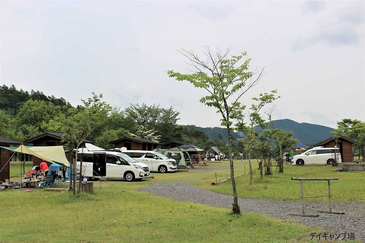 ドッグラン付！緑豊かなオートキャンプ場「スチールの森京都｣(京都府立府民の森ひよし)（南丹市）