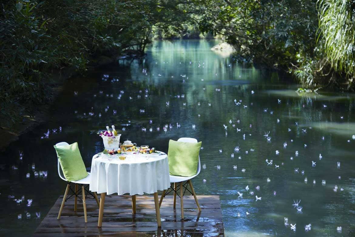 星野リゾート 西表島ホテル、一夜だけ咲く幻の花「サガリバナ」がひろがる川面で朝食プログラムを開催