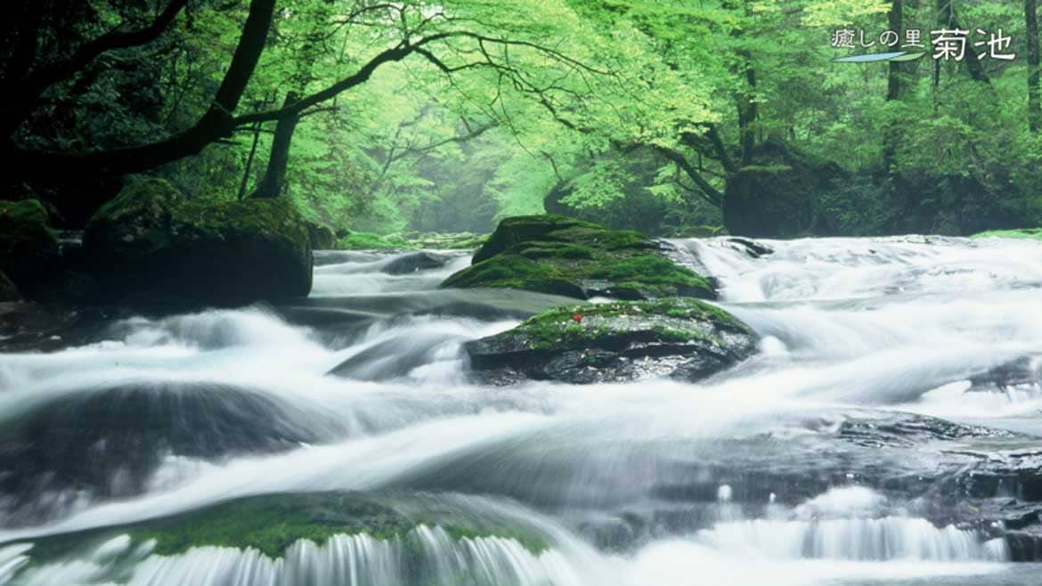 熊本の大自然が織りなす絶景「菊池渓谷」で涼を楽しもう！