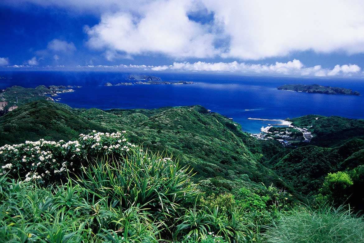 東京の島で、島暮らし体験をしてみませんか？ 東京都島しょ振興公社 農業・漁業就業体験