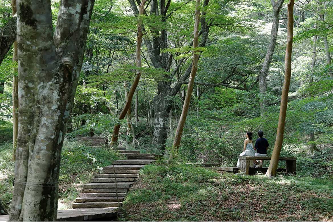 “アートの森で耳を澄ます”スーザン・フィリップスのサウンド・インスタレーションを初収蔵、森の遊歩道で公開