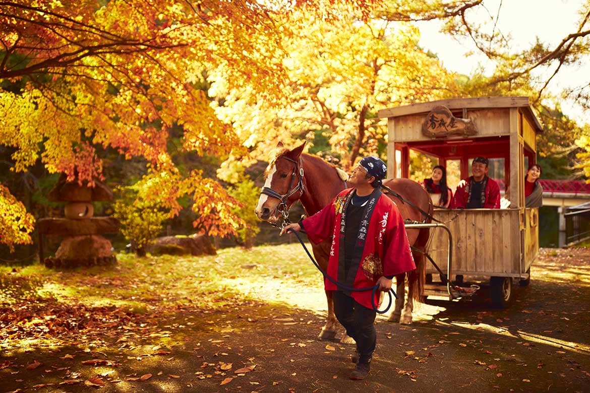 青森屋、馬車で公園を巡りながらりんごの食べ比べ！「紅葉りんご馬車」9/1〜11/30運行