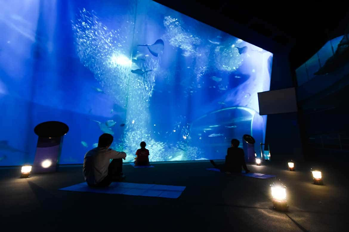 アクアワールド茨城県大洗水族館で初開催！大洗町の地酒と地産フードと共に、夜の水族館を特別大公開