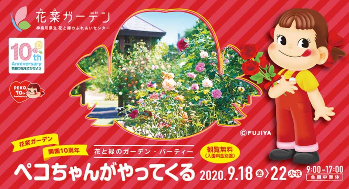 花菜ガーデン開園10周年×不二家ペコちゃん生誕70周年コラボ企画、9/18～22開催！