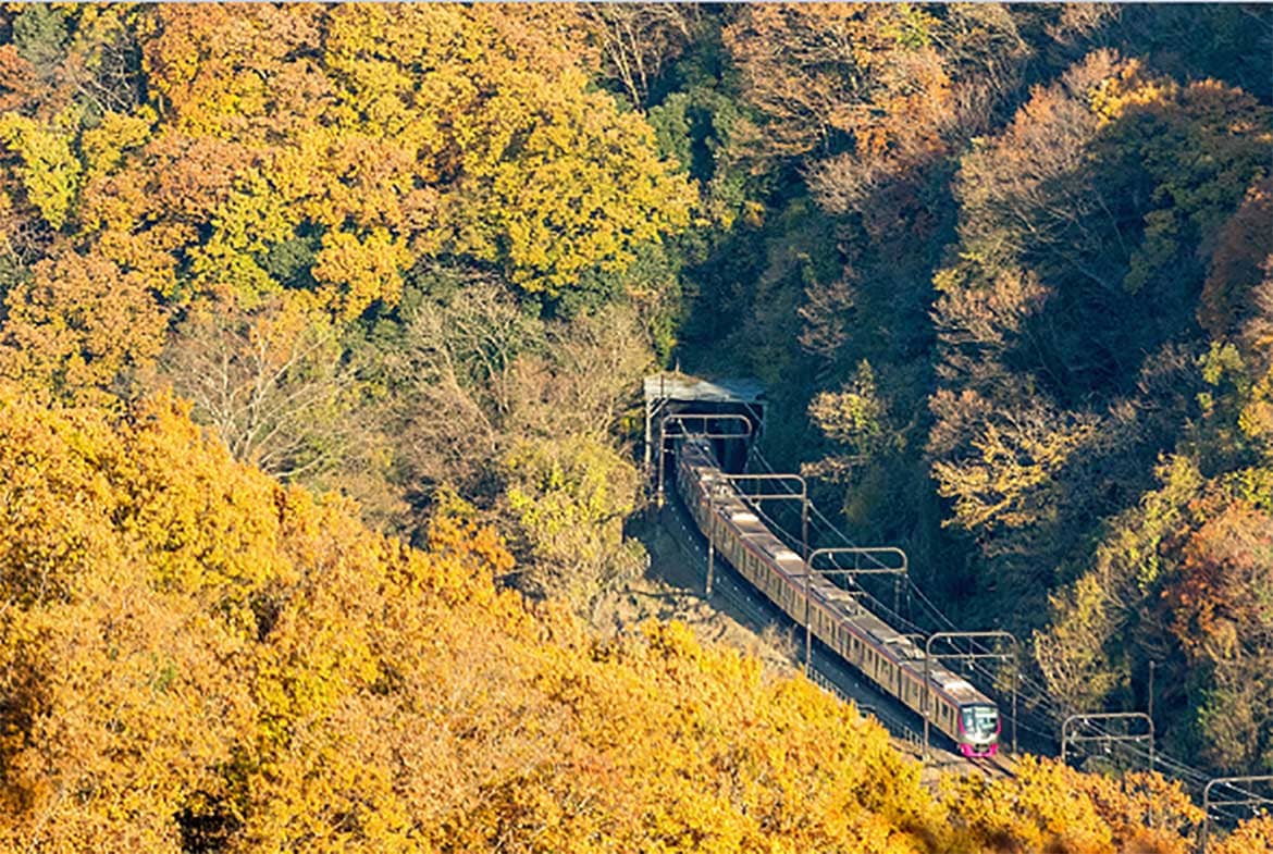 高尾山の紅葉シーズンにあわせ、秋の臨時座席指定列車「Mt. TAKAO号」を運行します！