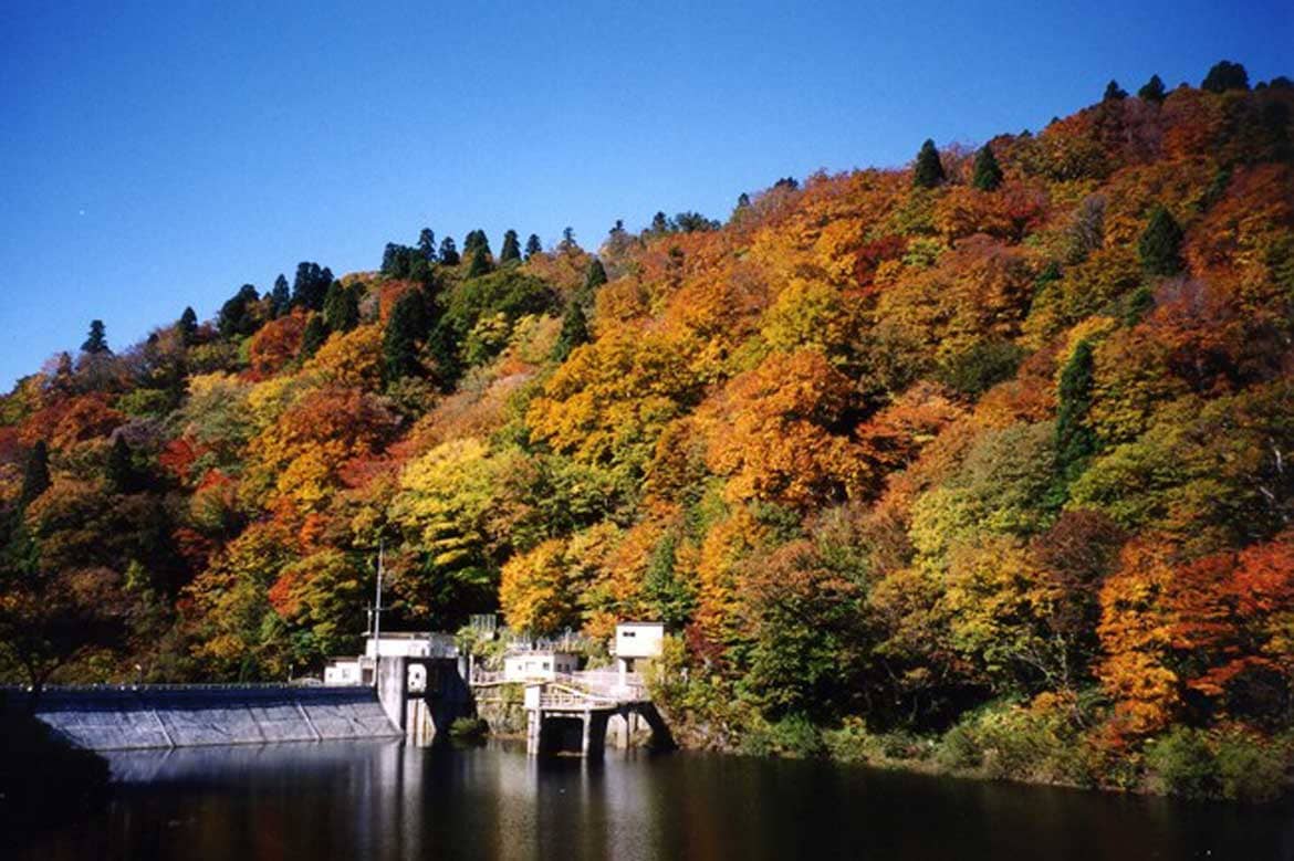 見頃を迎える鳥取県の紅葉。秋に訪れたい鳥取県の紅葉スポット5選