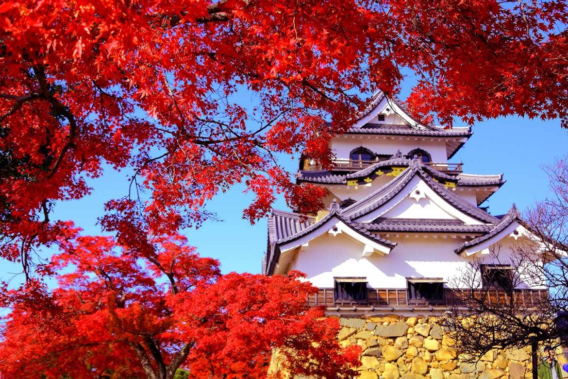 初代・井伊直政に始まる彦根藩の居城。当時の天守が現存する国宝「彦根城」