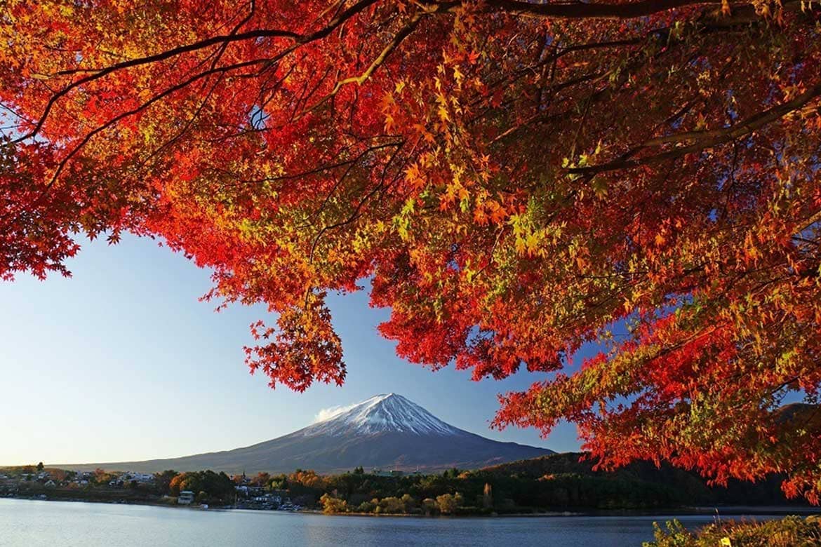 色鮮やかな紅葉に染まる河口湖。「第22回 富士河口湖紅葉まつり」富士河口湖町にて開催