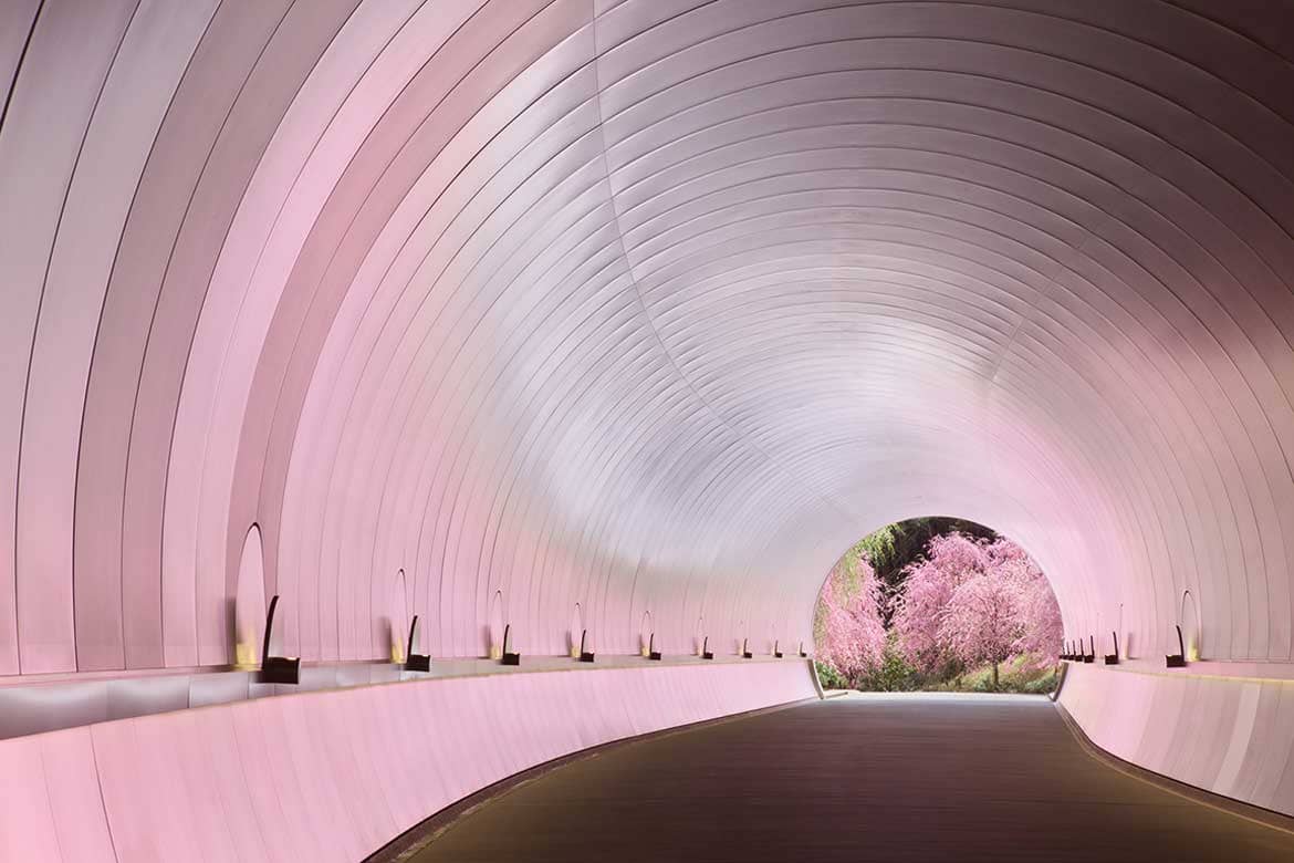 現代の桃源郷「MIHO MUSEUM」や、遊び心くすぐる「海洋堂フィギュアミュージアム」など。滋賀の個性豊かなミュージアム巡り