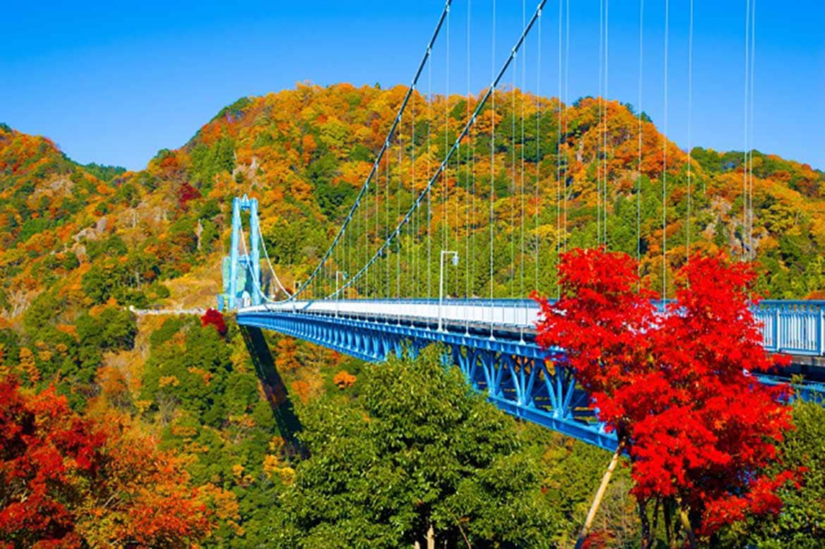 茨城県 竜神大吊橋 紅葉シーズン到来 11月中旬 下旬が見頃 Drive Nippon 国内観光情報ウェブマガジン