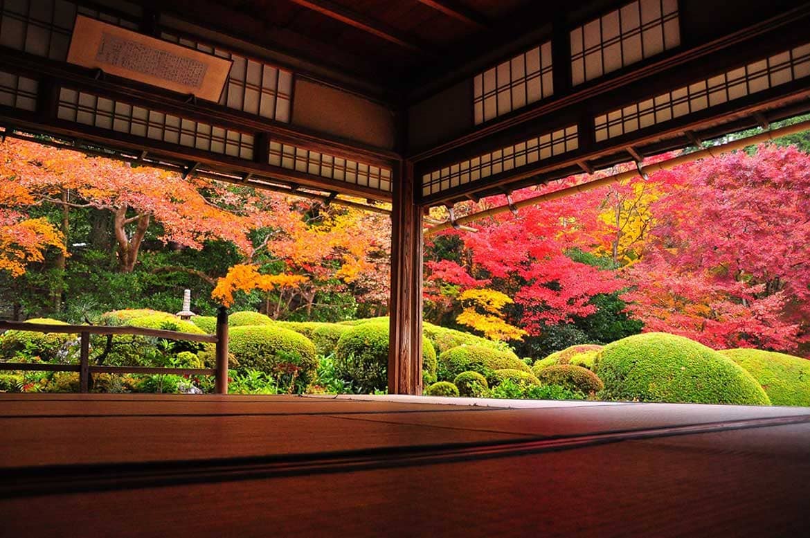 秋の京都の紅葉や夜景を貸し切りで堪能。京都ブライトンホテル、『秋の貸切プラン』を販売開始