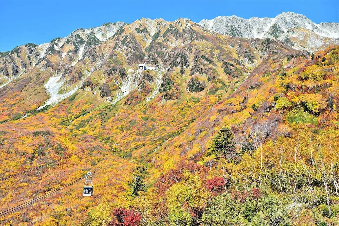 富山県と長野県を結ぶ立山黒部アルペンルート、紅葉シーズンスタート！