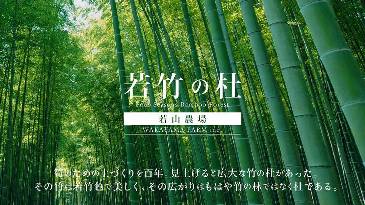 栃木県宇都宮市、若竹の杜 若山農場で冬季限定ライトアップ「Bamboo Winter Lights 2020」開催