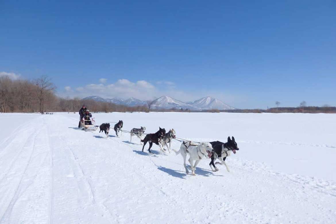 トマム、大雪原を駆け巡る「犬ぞりツアー」12/22～3/30開催