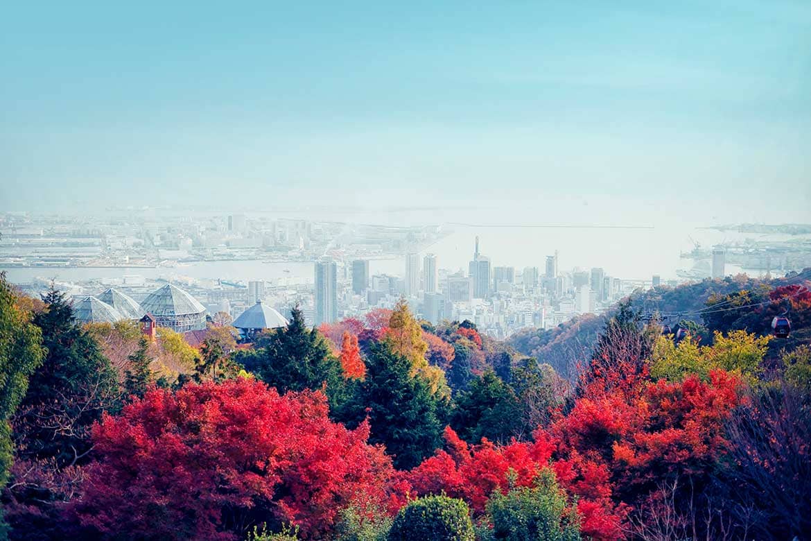 神戸の紅葉の名所「布引の紅葉」間もなく見ごろに。神戸布引ハーブ園にて秋に色づく六甲の山並みを満喫