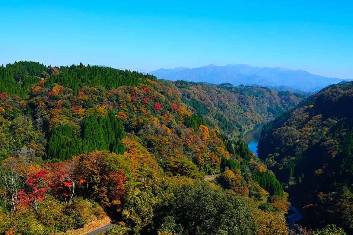 魅力満載！熊本の季節を満喫するスポット3選
