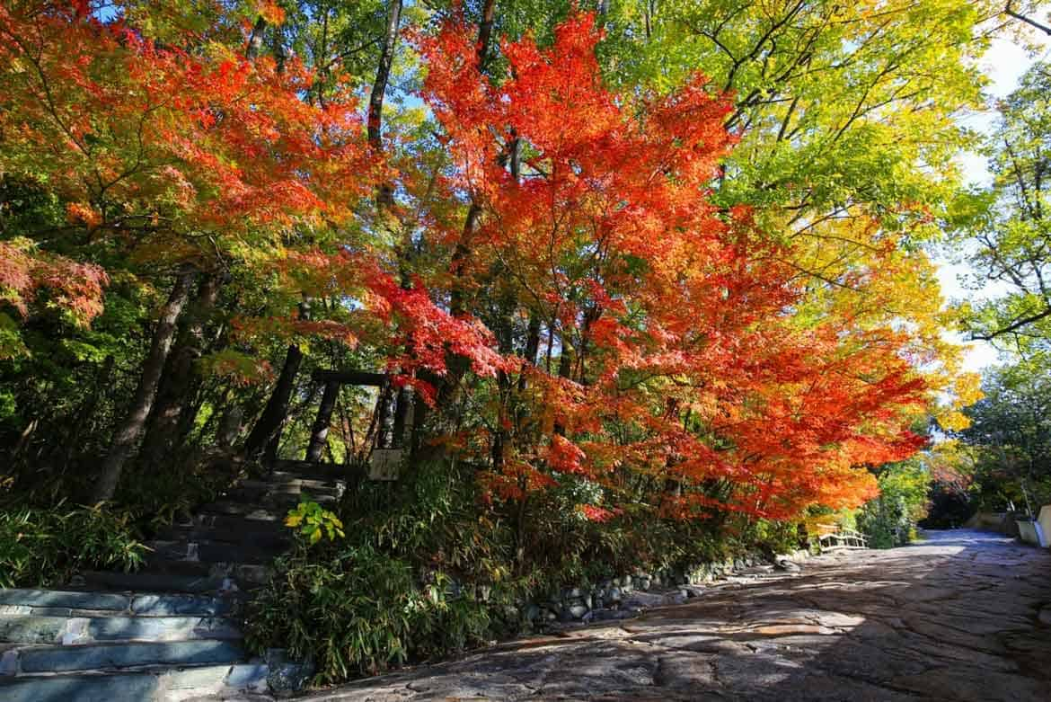 二十四の季節とともにある四国を五感で楽しむ野外博物館「四国村」