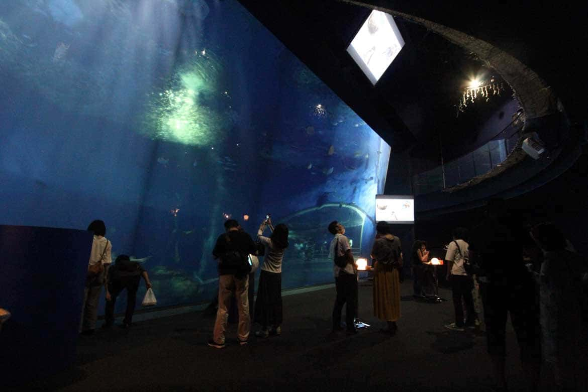 開館以来初のリニューアル！アクアワールド茨城県大洗水族館の夜間限定イベント「NIGHT AQUAWORLD」開催中