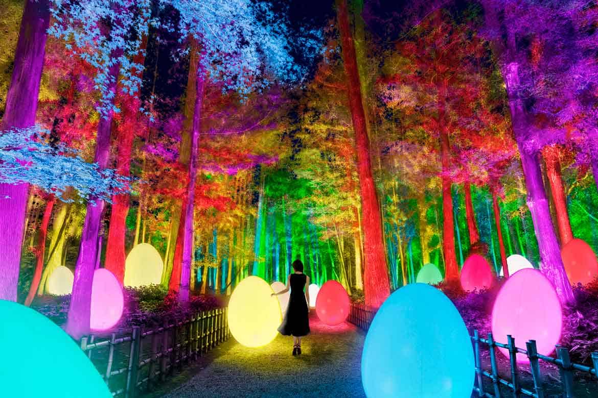茨城・水戸で「チームラボ 偕楽園 光の祭」2/13から開催。3,000本もの梅が咲く偕楽園を光のアート空間に