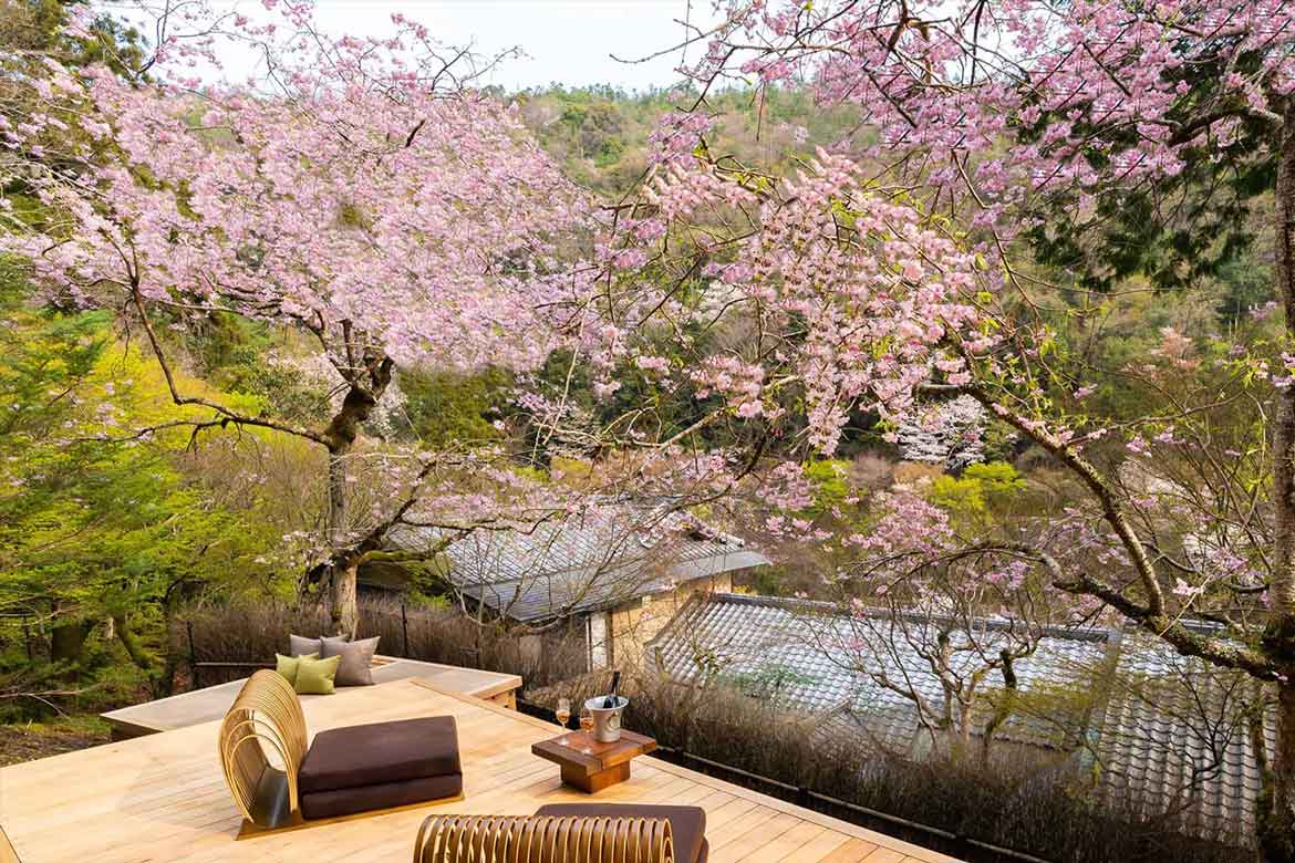 星のや京都、1日1組限定。春の風情をひとり占め「さくらテラス」期間限定でオープン