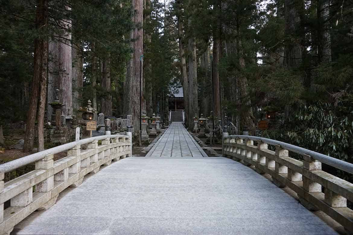 なぜ高野山は人々を虜にするのか？空海の歴史を辿り、身を清め心を休める旅