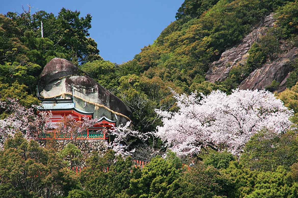 オンラインで城攻め！？総石垣の城・石垣の秘密に迫る。「熊野・新宮城オンラインツアー」開催