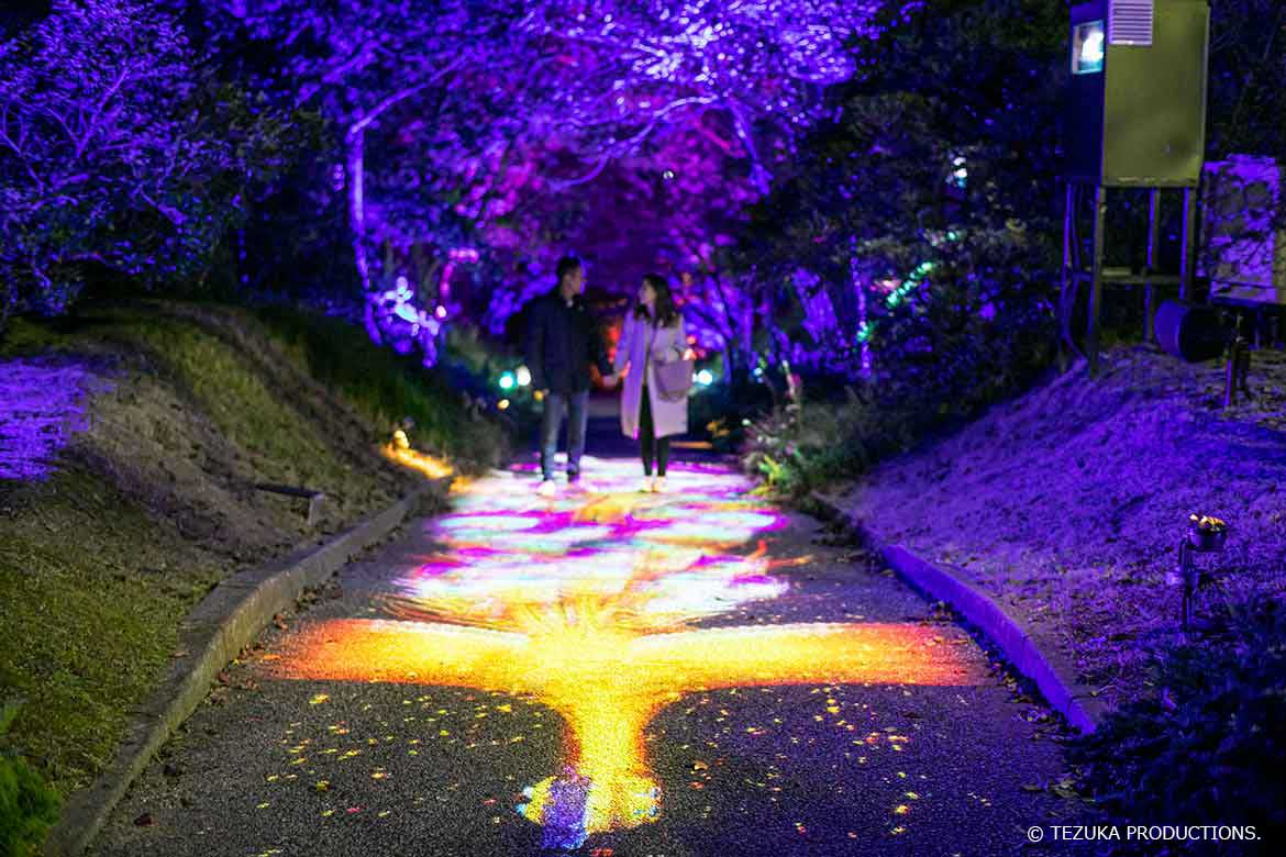 淡路島の夜間歩行アトラクション！ニジゲンノモリ「ナイトウォーク火の鳥」で幻想的な体験を